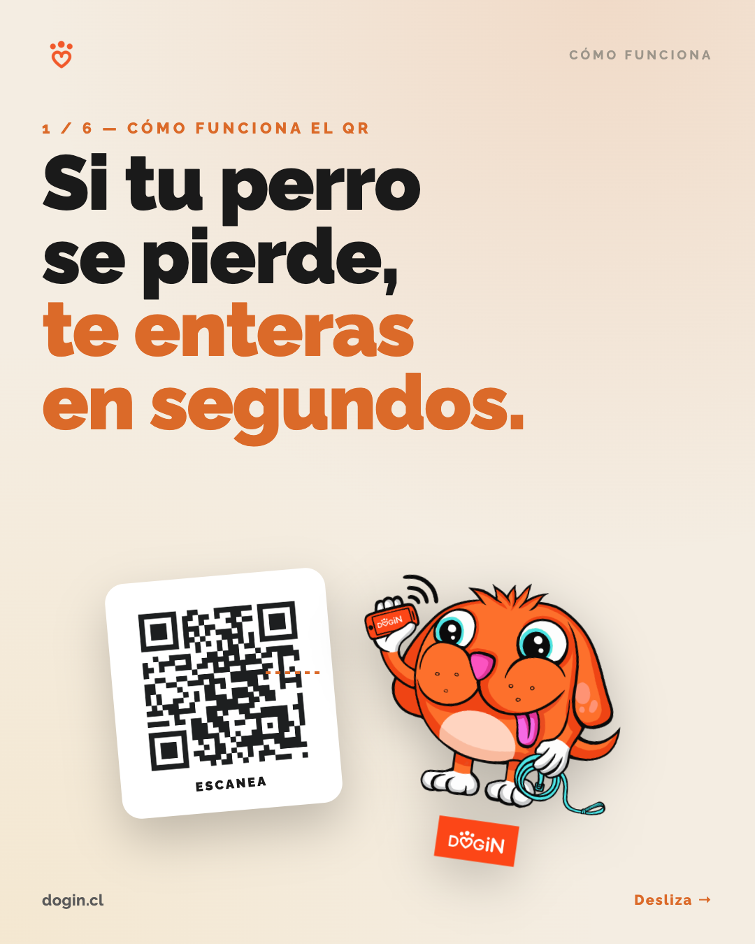 Si tu perro se pierde, te enteras en segundos con el QR Dogin