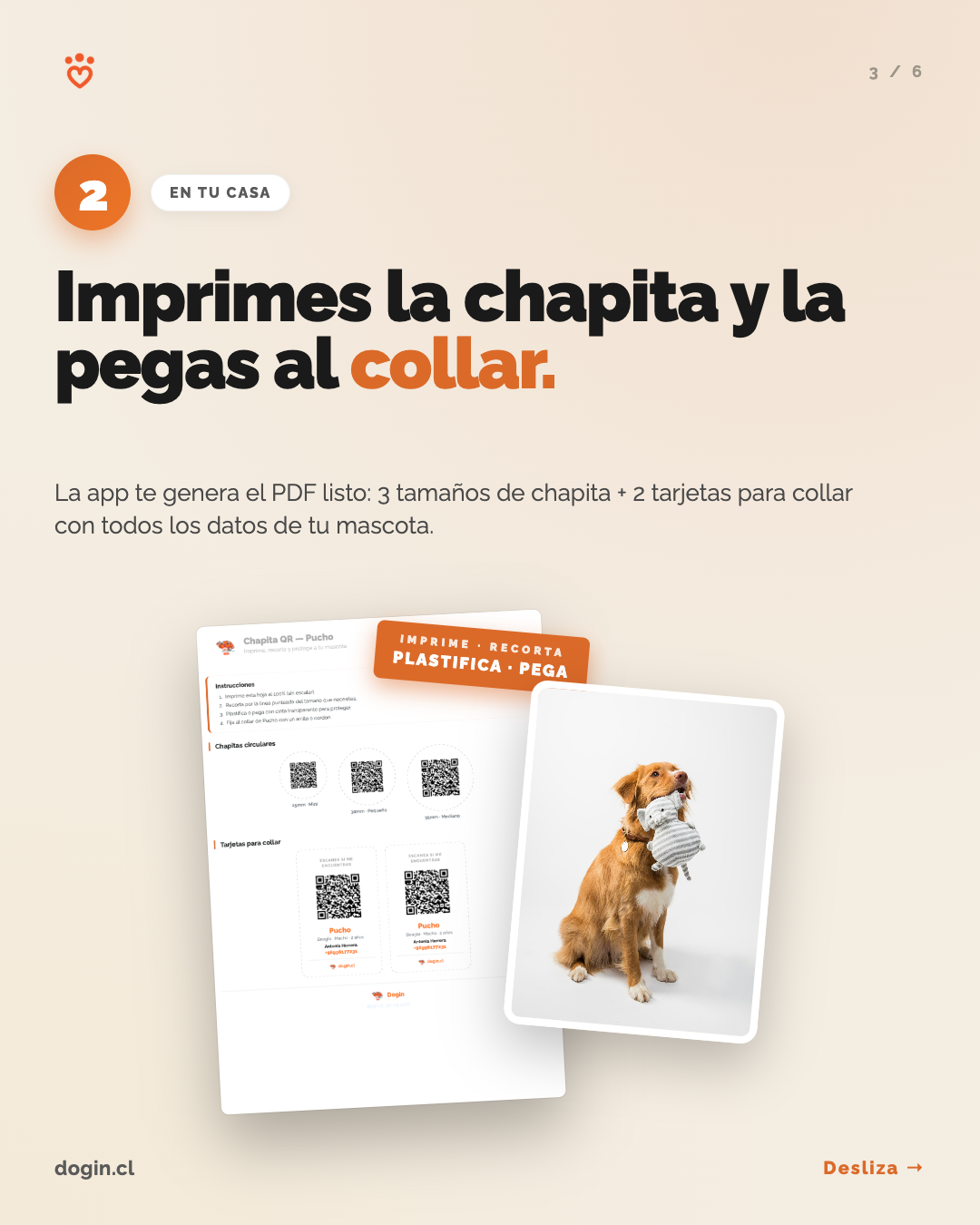 Paso 2: imprimes la chapita con QR y la pegas al collar