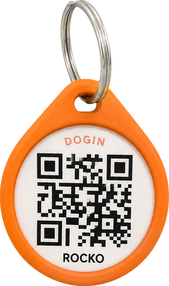 Llavero QR con chip NFC de Dogin para el collar de tu perro o gato