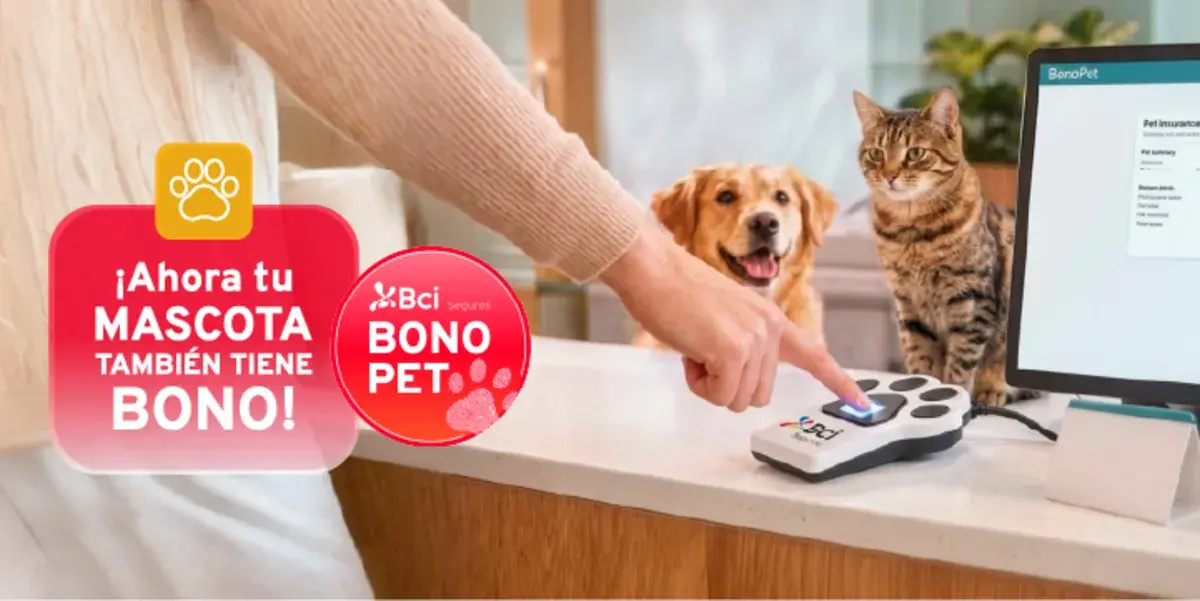 Perro y gato: precios del seguro para mascotas de Bci Seguros