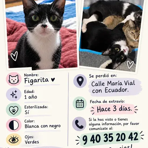 Figarita