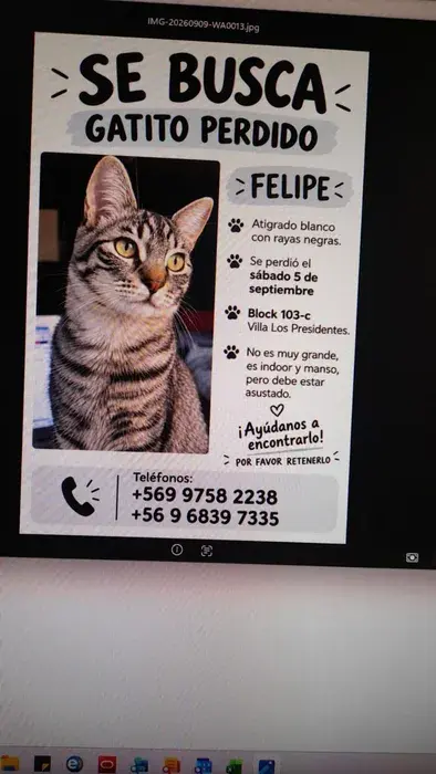 Felipe
