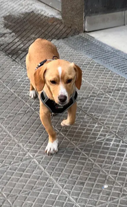 No tiene nombre