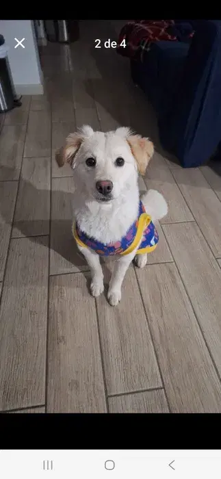 Foto de Kloe